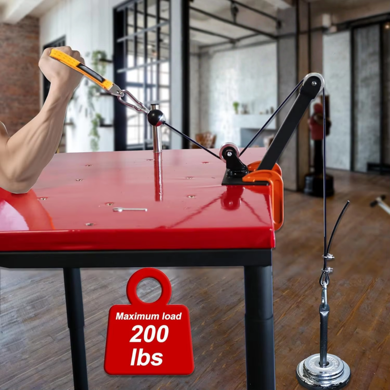 Professional Arm Wrestling Tra - Sports Equipment Online recensione e prezzo