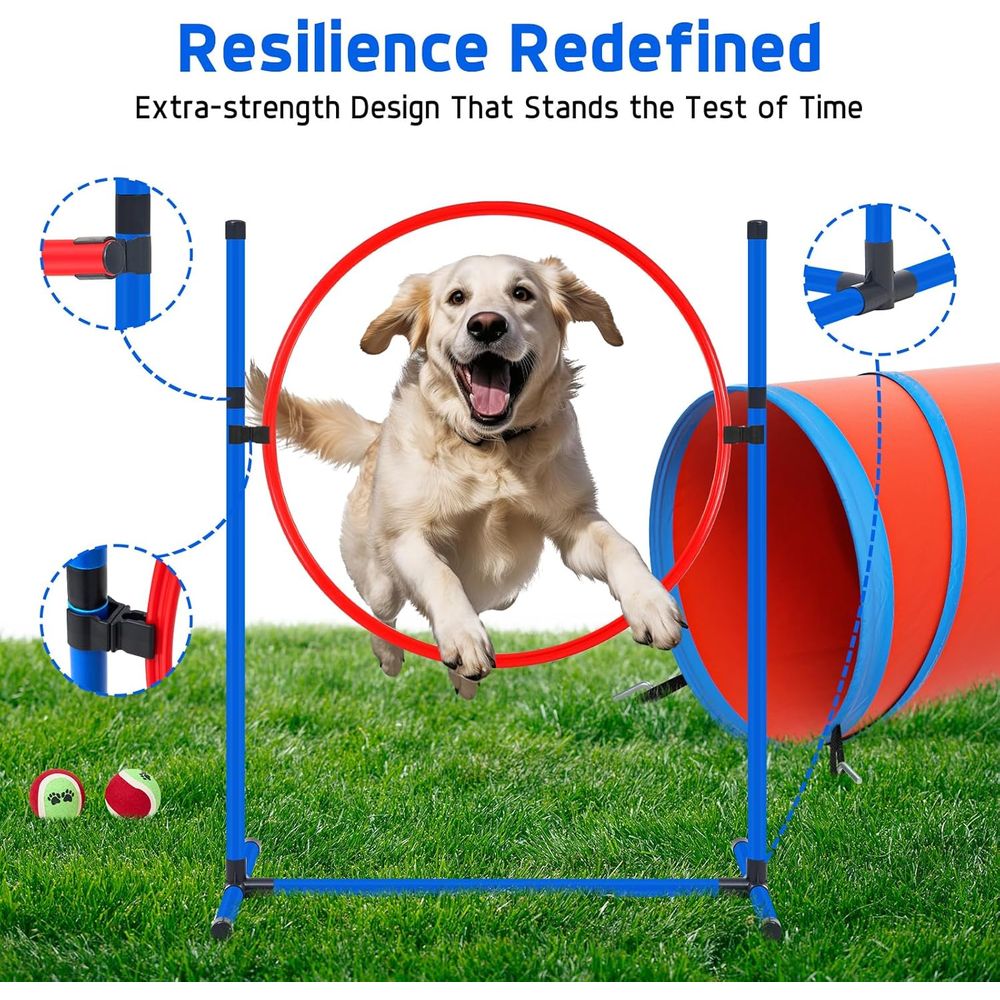 Backyard Dog Agility Course Se - Agility Hurdle Set recensione e prezzo