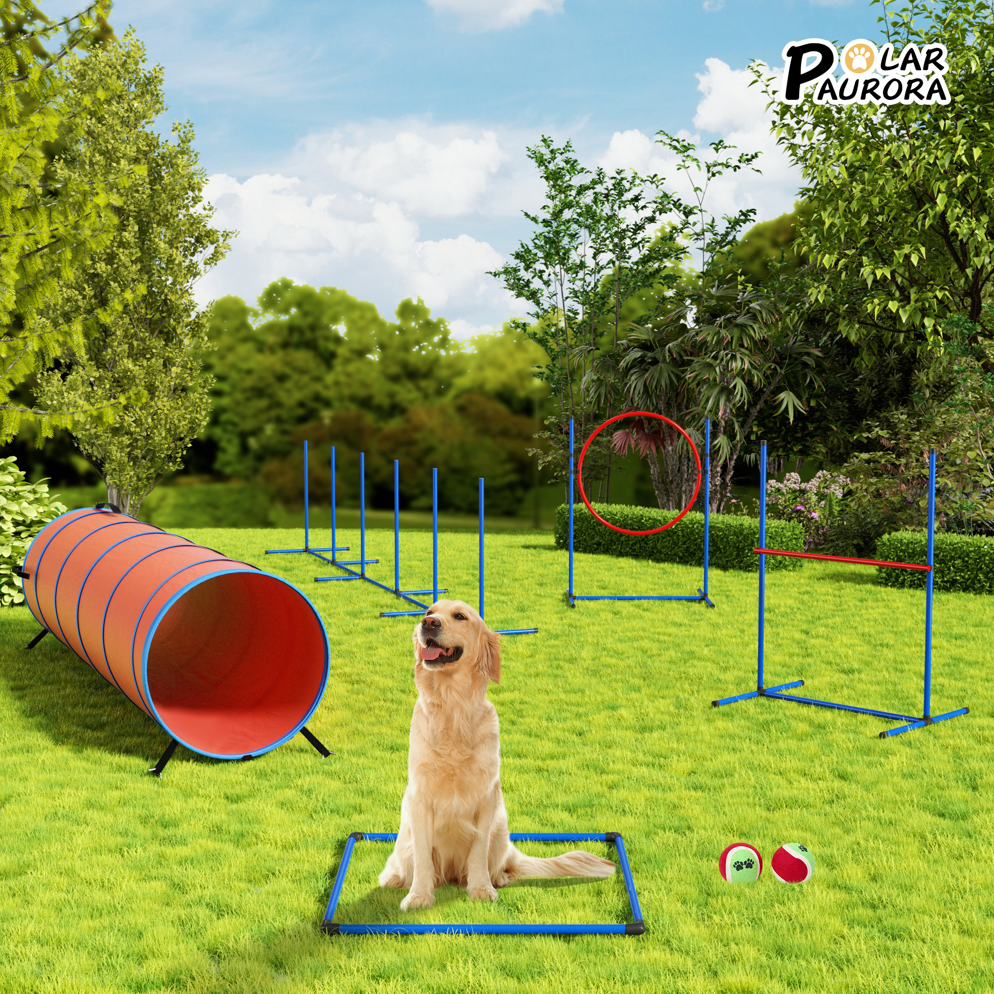 VIWAT Dog Agility Equipment, D - Agility Hurdle Set recensione e prezzo
