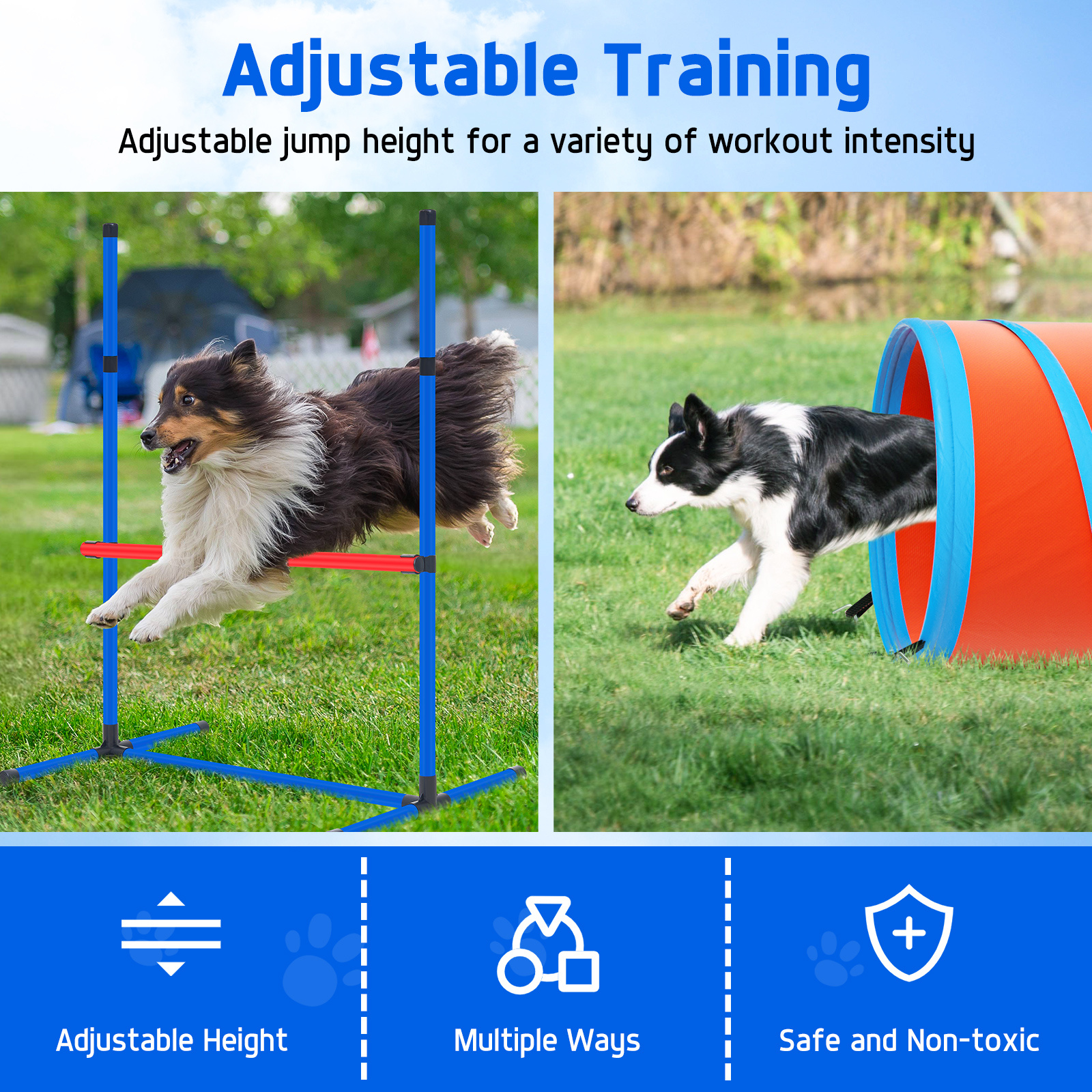 VIWAT Dog Agility Equipment, D - Agility Hurdle Set recensione e prezzo