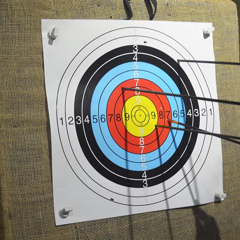 24pcs 40x40cm Durable Archery  - Archery Target Face recensione e prezzo