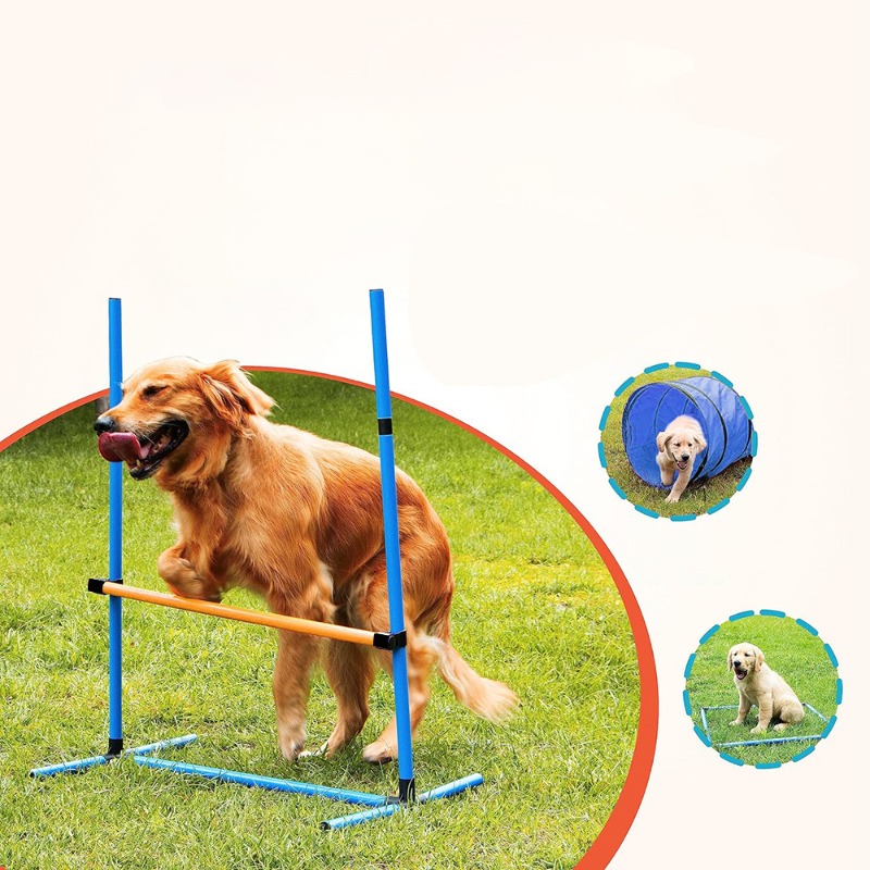 Amazon Dog Training Equipment  - Agility Hurdle Set recensione e prezzo