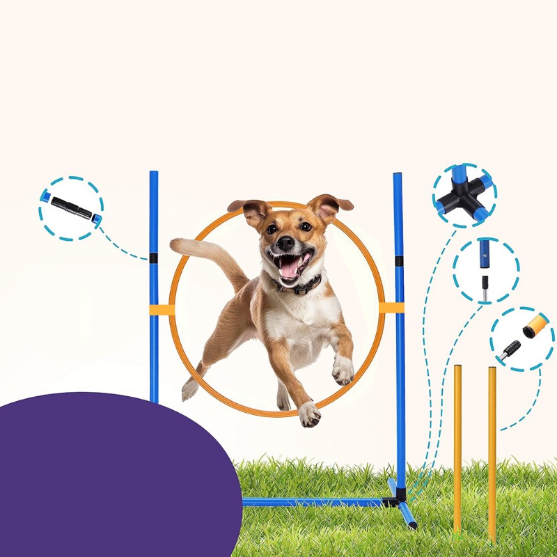 Amazon Dog Training Equipment  - Agility Hurdle Set recensione e prezzo